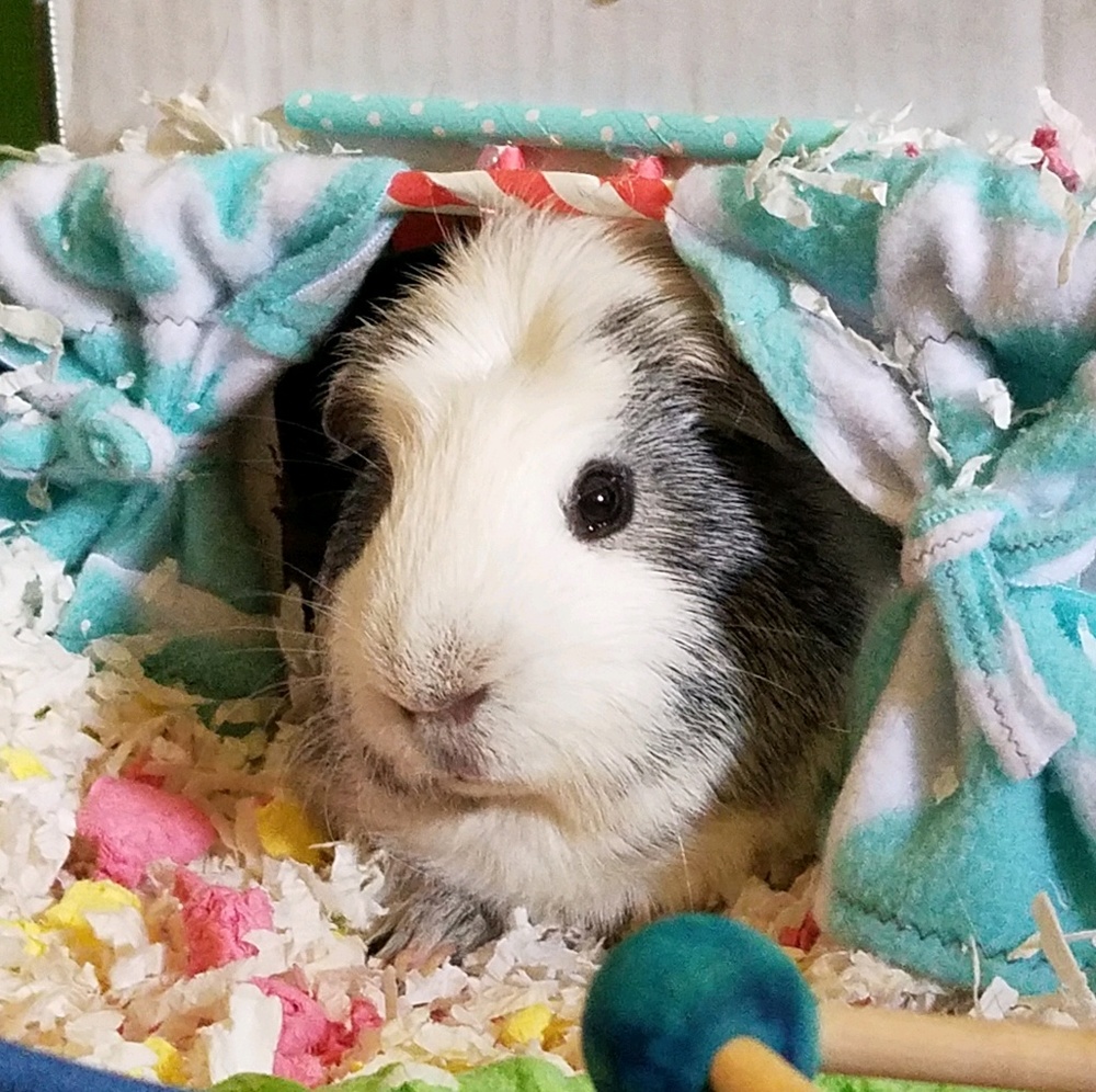 Meet your Posher, Kendra